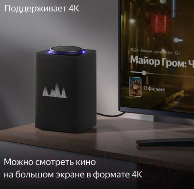 Умная колонка Яндекс Станция Макс с Zigbee YNDX-00053K (черный)