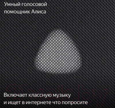 Умная колонка Яндекс Станция Макс с Zigbee YNDX-00053K (черный)