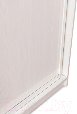 Шкаф-купе Евва 24 BBZ.03 / АЭП ШК.3 01 (бодега/жемчуг зерно)