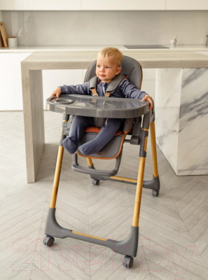 Стульчик для кормления Amarobaby Elegant / AB23-23EL/11 (серый)