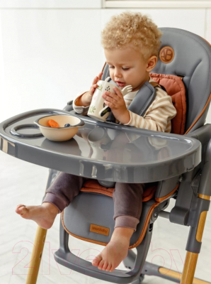 Стульчик для кормления Amarobaby Elegant / AB23-23EL/11 (серый)
