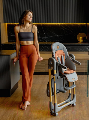 Стульчик для кормления Amarobaby Elegant / AB23-23EL/11 (серый)