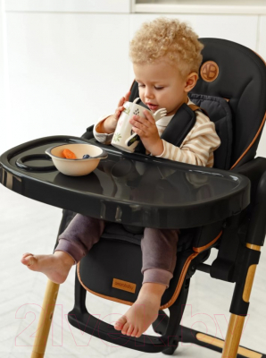 Стульчик для кормления Amarobaby Elegant / AB23-23EL/09 (черный)