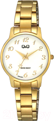 Часы наручные женские Q&Q Q48AJ003Y - фото