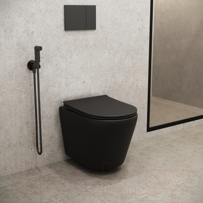 Унитаз подвесной Grossman Fly GR-4478BMS (с сиденьем)