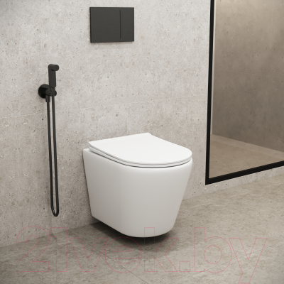 Унитаз подвесной Grossman Fly GR-4478MS (с сиденьем)