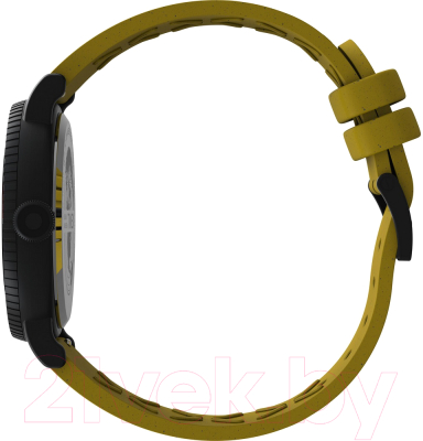 Часы наручные мужские Timex TW2V71600