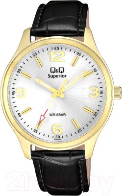 Часы наручные мужские Q&Q S00AJ007Y - фото
