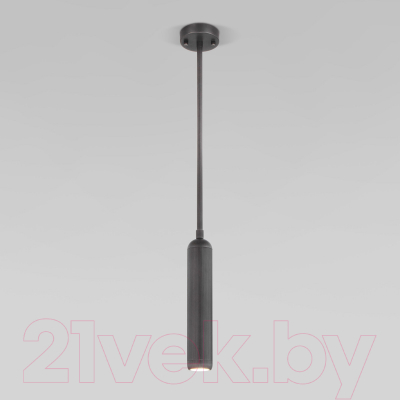 Потолочный светильник Евросвет 50255/1 (титан)