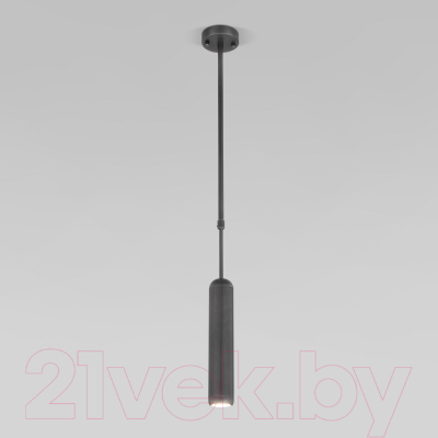 Потолочный светильник Евросвет 50255/1 (титан)