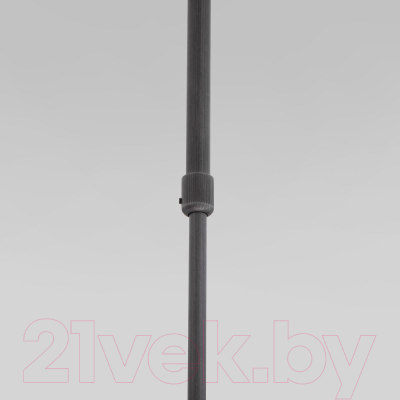 Потолочный светильник Евросвет 50255/1 (титан)