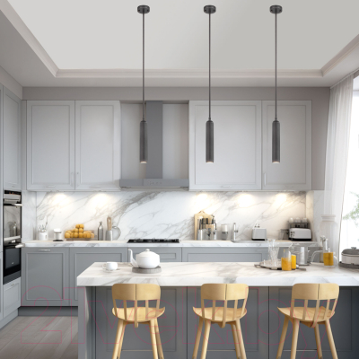 Потолочный светильник Евросвет 50255/1 (титан)