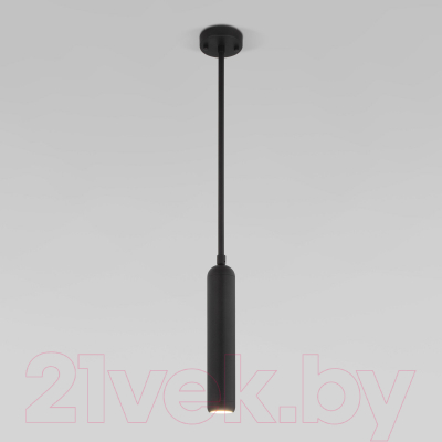 Потолочный светильник Евросвет 50255/1 (черный)