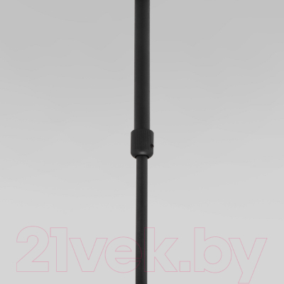 Потолочный светильник Евросвет 50255/1 (черный)