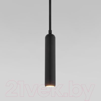 Потолочный светильник Евросвет 50255/1 (черный)