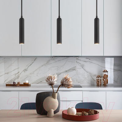 Потолочный светильник Евросвет 50255/1 (черный)