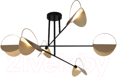 Потолочный светильник Евросвет 70148/6 - фото