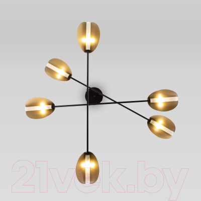 Потолочный светильник Евросвет 70148/6