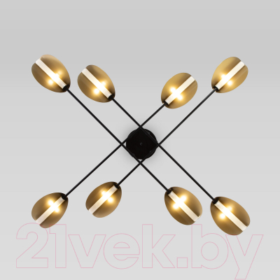 Потолочный светильник Евросвет 70148/8