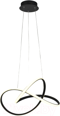 Потолочный светильник Евросвет 90312/1 (черный) - фото