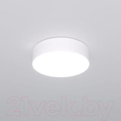 Потолочный светильник Евросвет 90318/1