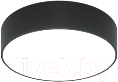 Потолочный светильник Евросвет 90318/1 - фото