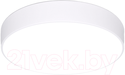 Потолочный светильник Евросвет 90319/1 (белый) - фото