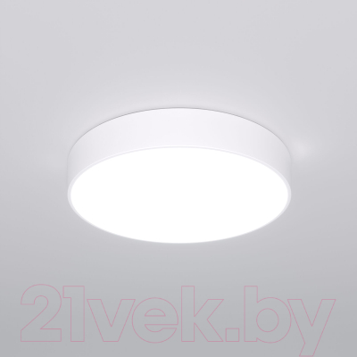 Потолочный светильник Евросвет 90319/1 (белый)