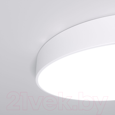 Потолочный светильник Евросвет 90319/1 (белый)