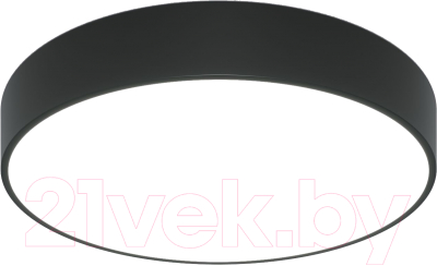 Потолочный светильник Евросвет 90319/1 - фото