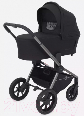 Детская универсальная коляска Rant Flex Pro 2 в 1 2023 / RA074