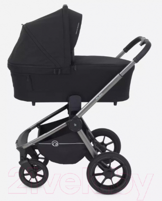 Детская универсальная коляска Rant Flex Pro 2 в 1 2023 / RA074