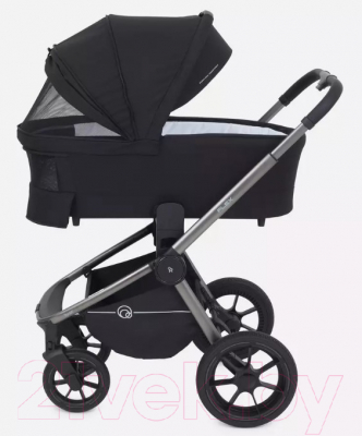 Детская универсальная коляска Rant Flex Pro 2 в 1 2023 / RA074