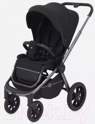 Детская универсальная коляска Rant Flex Pro 2 в 1 2023 / RA074