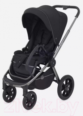 Детская универсальная коляска Rant Flex Pro 2 в 1 2023 / RA074