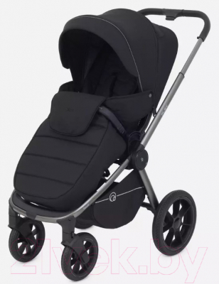 Детская универсальная коляска Rant Flex Pro 2 в 1 2023 / RA074