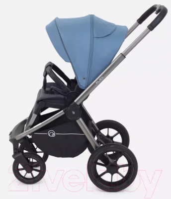 Детская универсальная коляска Rant Flex Pro 2 в 1 2023 / RA074