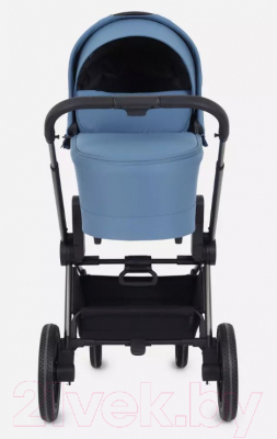 Детская универсальная коляска Rant Flex Pro 2 в 1 2023 / RA074