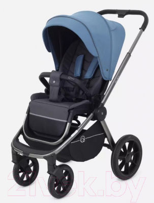 Детская универсальная коляска Rant Flex Pro 2 в 1 2023 / RA074