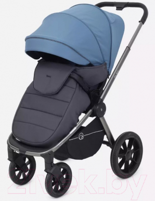 Детская универсальная коляска Rant Flex Pro 2 в 1 2023 / RA074