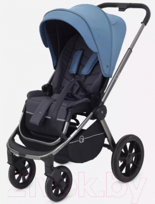Детская универсальная коляска Rant Flex Pro 2 в 1 2023 / RA074