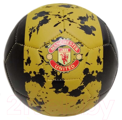 Футбольный мяч ZEZ Sport FT-1101