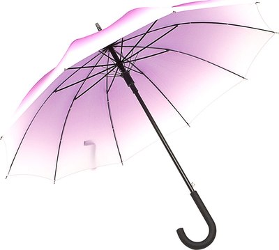 Зонт-трость Rain Berry 734-0106 - фото