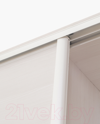 Шкаф-купе Евва 18 BBZ.03 / АЭП ШК.3 03 (бодега/жемчуг зерно)