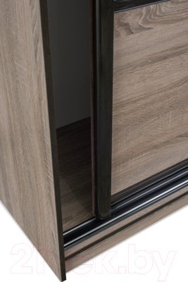 Шкаф-купе Евва 18 TTG.03 / АЭП ШК.3 03 (трюфель/венге глянец)