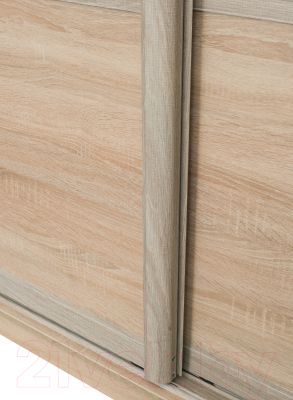 Шкаф-купе Евва 18 SSH.03 / АЭП ШК.3 03