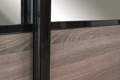 Шкаф-купе Евва 14 TTG.01 / АЭП ШК.2 03