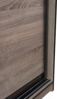 Шкаф-купе Евва 14 TTG.01 / АЭП ШК.2 03