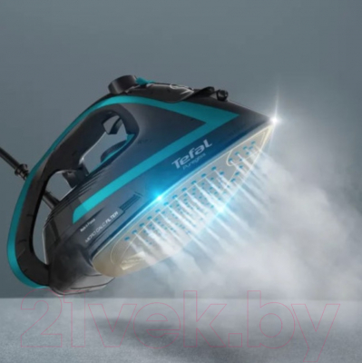 Утюг Tefal FV8066E0