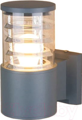 Бра уличное Elektrostandard 1408 Techno - фото